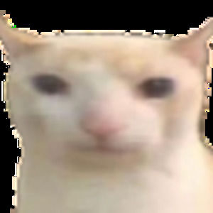 Meet your Posher, Theo